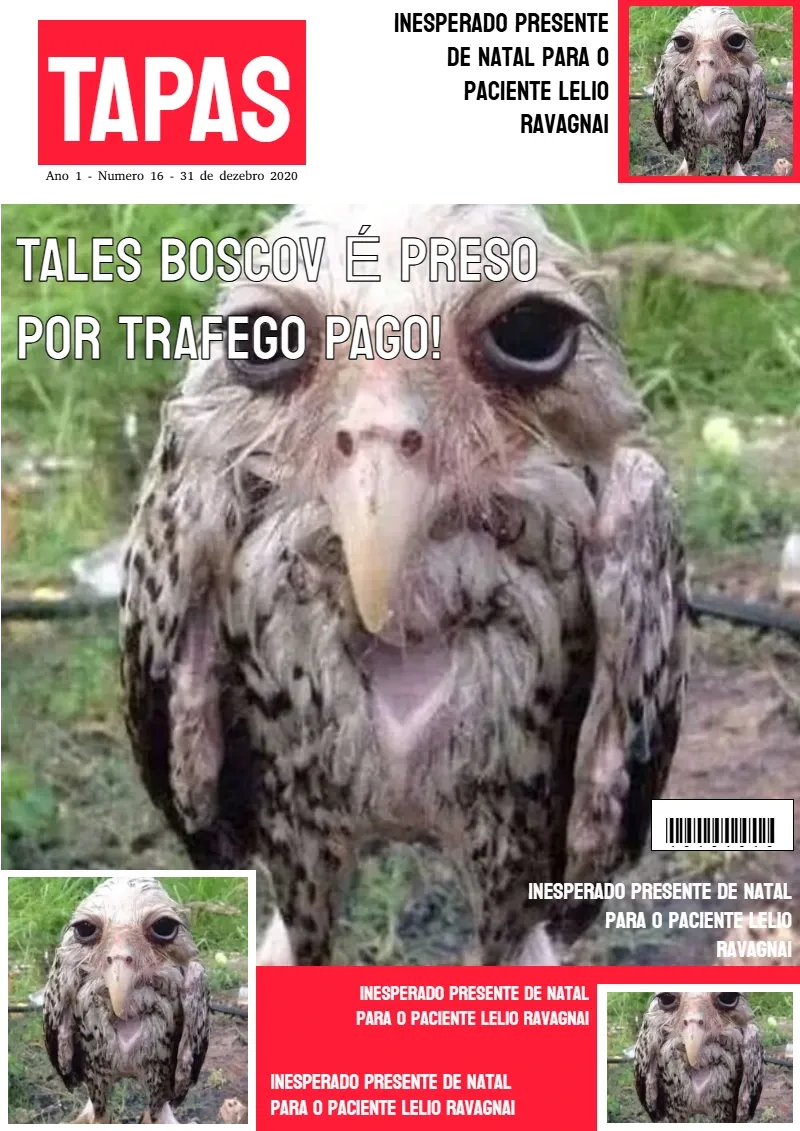 Revista Tapas